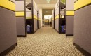 Corporate Life - Cris Pierry