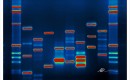 Micah's DNA - Micah Baldwin
