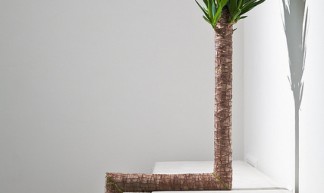 Alter Nature: We Can - Reinier Lagendijk - Zonder Titel (2009) - Z33 Art centre