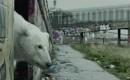 kliktv_376537ccb35655a27d82fa29c95b8f34