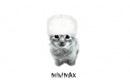 minimax