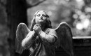Devotion - Alexander Boden