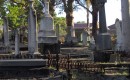 Cemetary, with a preschool - sexyninjamonkey