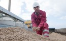 Biomassa: houtpellets - EssentNieuws