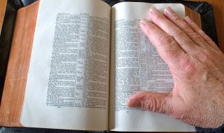 338-365 (Year 6) My First Bible - George Redgrave