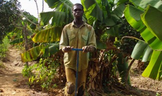 Farmer irrigating with treadle pump in Mali - IFPRI -IMAGES