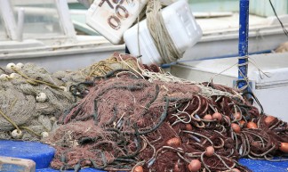 Trawling Nets - Alex Proimos
