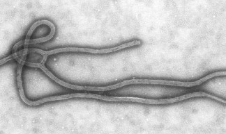 Ebola - Phil Moyer