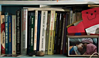 The Ecological Anarchism of Murray Bookchin - Phillip Chee