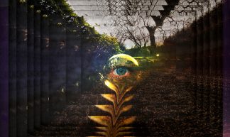 parallel worlds - Alice Popkorn