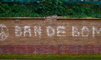 Restant uit het verleden - Roel Wijnants