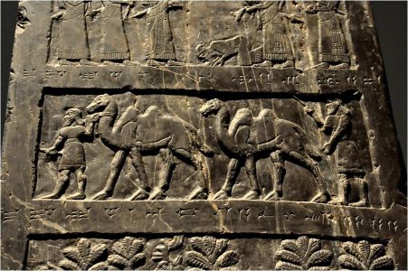 Fragment van de Zwarte Obelisk van Salmanasser III (835 v. Chr.). De koning van Musri (een koninkrijkje in Iran) brengt kamelen als tribuut. Bron: http://www.ancient.eu/image/2487/