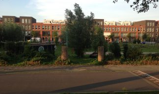 Houses in Bospolder, Rotterdam - Philip Mallis