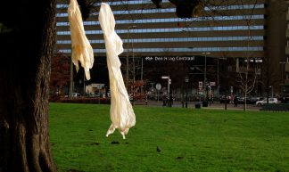 Den Haag hangt vuile was buiten - Roel Wijnants