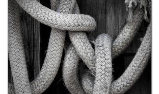 Gordian Knot - Ashwin Mudigonda