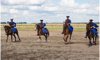 Bakod Puszta Horse Farm, Hongaarse Paarden Show, Kalocsa, Hongarije ... - Martha de Jong-Lantink