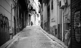 city center - gato-gato-gato