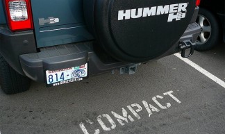 Hummer - Elf Sternberg