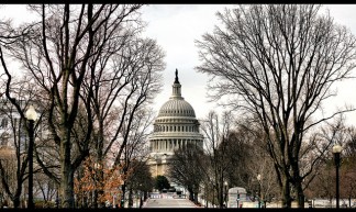 United States Capitol - Phil Roeder
