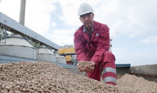 Biomassa: houtpellets - EssentNieuws