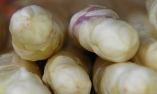 asperges - Peter Wassenaar