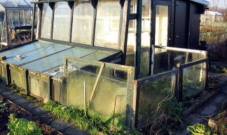 "new" greenhouse and shed! - Ard Hesselink