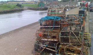 Intricate roping and pretend lobster designed to fool lobsters to entering pots - Edward Simpson