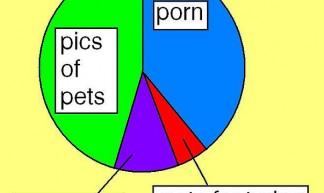 internet pie chart - michael cooke