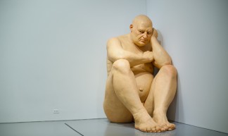 Ron Mueck’s ‘Big Man’ at the Hirshhorn Museum - Shawn Hoke