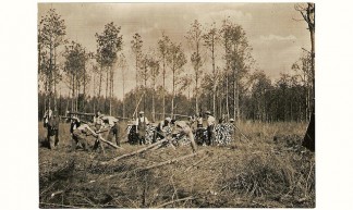 1937 Werkverschaffing in het bos - Herman van den Bossche