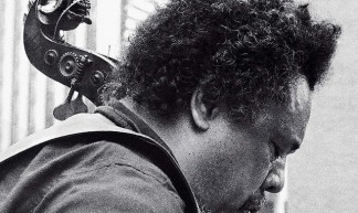 Charles Mingus' lion's head bass scroll - Tom Marcello