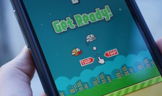 Flappy Bird su Smartphone - Desiree Catani