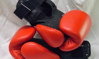 boxing gloves - Julia Manzerova
