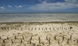 Climate Change Effects in Island Nation of Kiribati - United Nations Photo