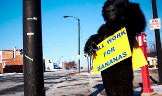 the IT job market right now. what i'm up against - Phil Campbell