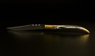 Knife - Alexander Bolotnov
