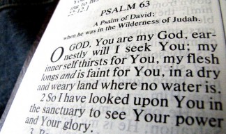 Bible - Savio Sebastian