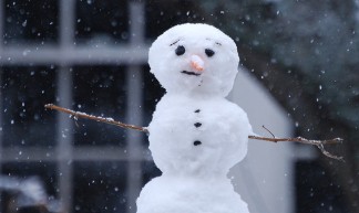 Snowman Neighbor - Melinda Shelton