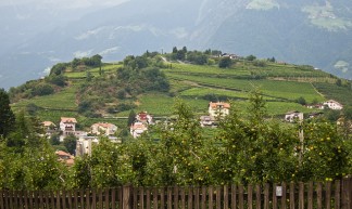 Merano: IMG_7342R - Albertus82