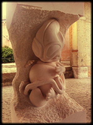 cc Flickr valentina tanni photostream Marc Quinn alien fetus