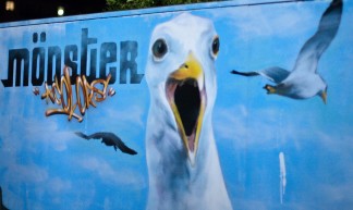 Killer Seagulls - Marc Roberts