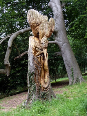 cc Flickr Nige Brown photostream Tree Carvings - Knaresborough