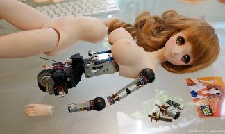Smart Doll - Danny Choo