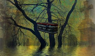 Why Didn't I Get Flood Insurance? - garlandcannon