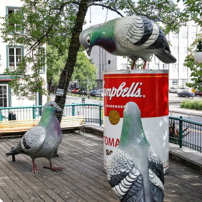 cc Flickr Adam Foster photostream The pigeons in Quebec City are huge