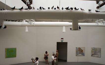 cc Flickr Amy Youngs photostream Maurizio Cattelan's pigeon art 2011