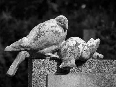 cc Flickr Jaroslav A. Polák Dead Dove on the Gravestone