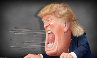 Donald Trump - Caricature - DonkeyHotey