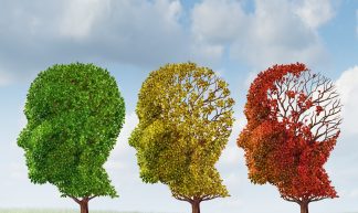 Brain Aging - Kalvicio de las Nieves