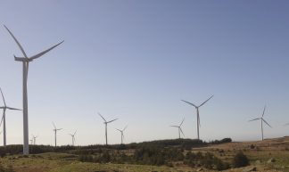 Windmills - Leif Harboe